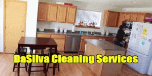 Lady cleaning house